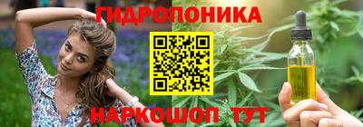 jwh Будённовск
