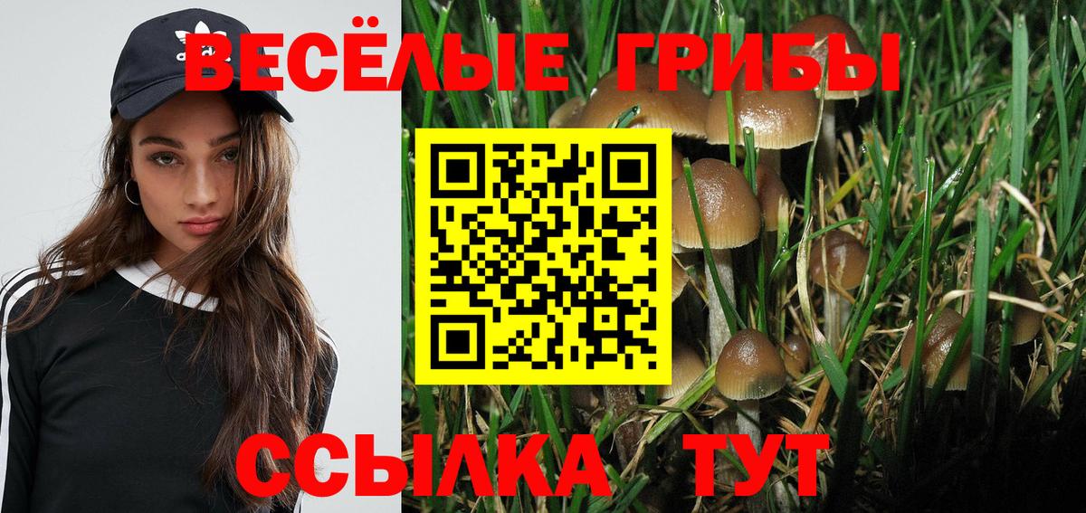 Сланцы  Галлюциногенные грибы MAGIC MUSHROOMS  цена наркотик  Вход с VPN 